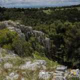 Il panorama dall�alto � notevole, con le roccia bianca e nuda che abbraccia il verde intenso dei monumentali alberi